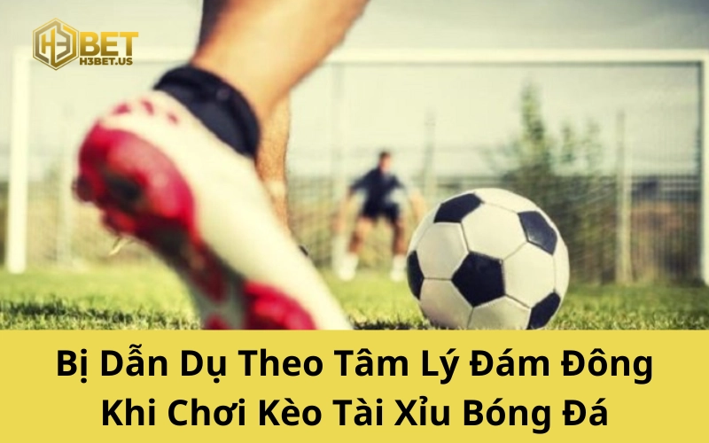 Bị Dẫn Dụ Theo Tâm Lý Đám Đông Khi Chơi Kèo Tài Xỉu Bóng Đá