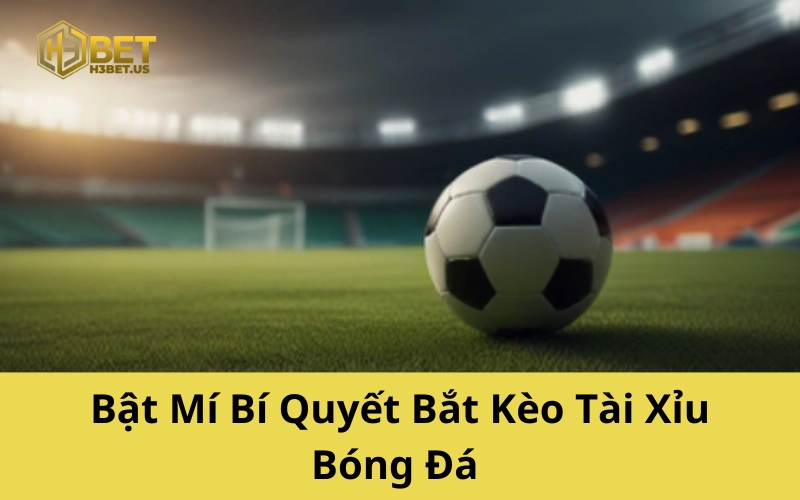 Bí Quyết Bắt Kèo Tài Xỉu Bóng Đá Từ Bet Thủ Gạo Cội