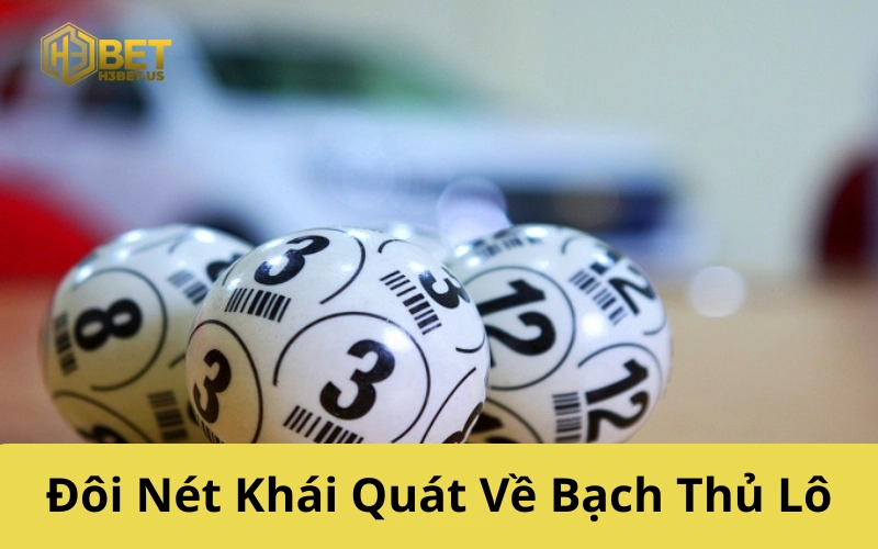 Đôi Nét Khái Quát Về Bạch Thủ Lô