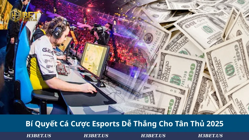 Bí Quyết Cá Cược Esports Dễ Thắng Cho Tân Thủ 2025
