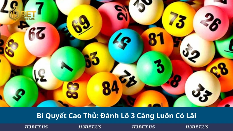 Bí Quyết Cao Thủ: Đánh Lô 3 Càng Luôn Có Lãi