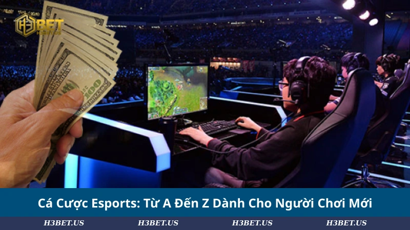 Cá Cược Esports: Từ A Đến Z Dành Cho Người Chơi Mới