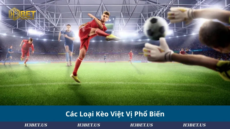 Các Loại Kèo Việt Vị Phổ Biến