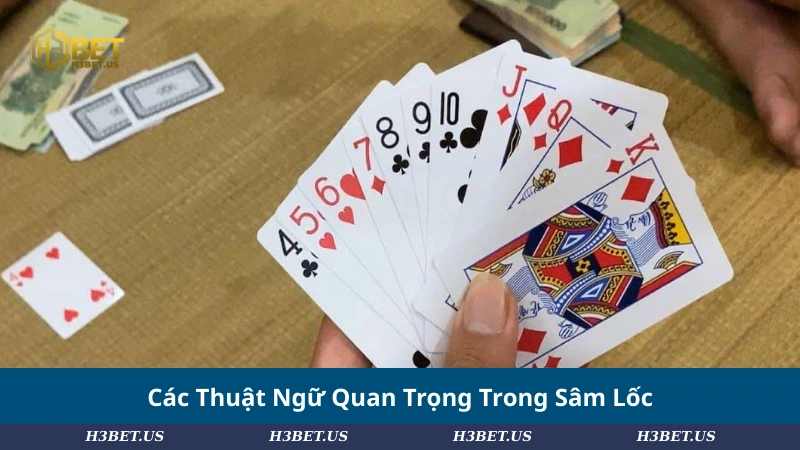 Các Thuật Ngữ Quan Trọng Trong Sâm Lốc