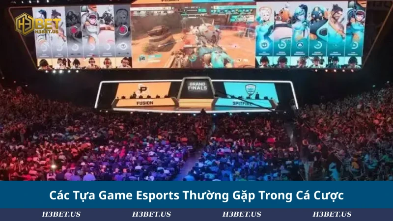 Các Tựa Game Esports Thường Gặp Trong Cá Cược