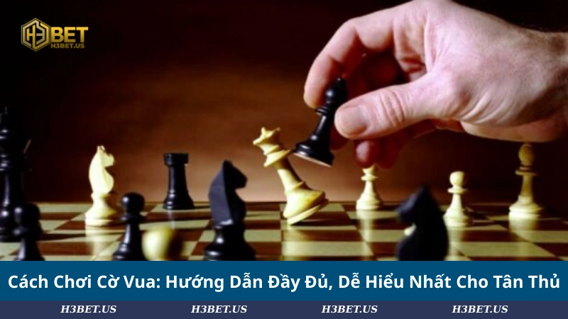 Cách Chơi Cờ Vua: Hướng Dẫn Đầy Đủ, Dễ Hiểu Nhất Cho Tân Thủ
