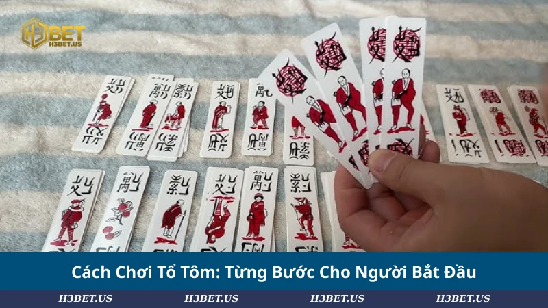 Cách Chơi Tổ Tôm: Từng Bước Cho Người Bắt Đầu