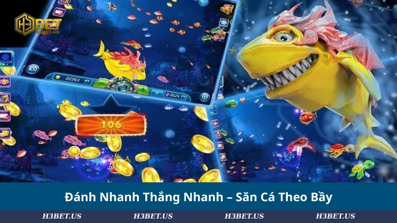 Đánh Nhanh Thắng Nhanh – Săn Cá Theo Bầy