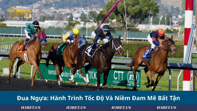 Đua Ngựa: Hành Trình Tốc Độ Và Niềm Đam Mê Bất Tận