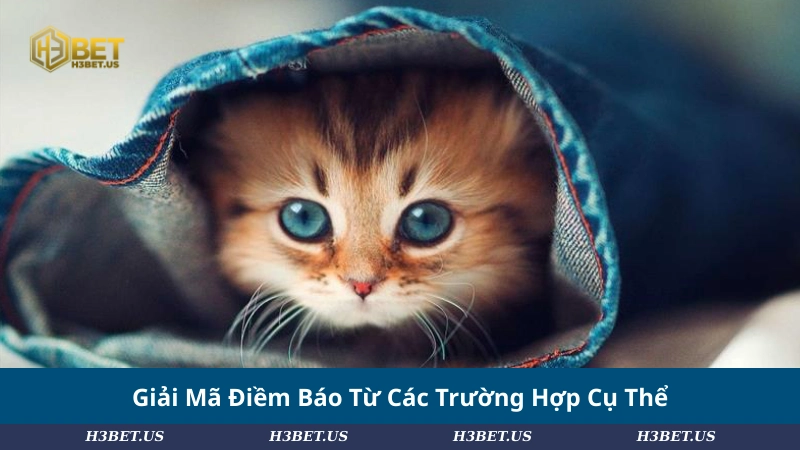 Giải Mã Điềm Báo Từ Các Trường Hợp Cụ Thể