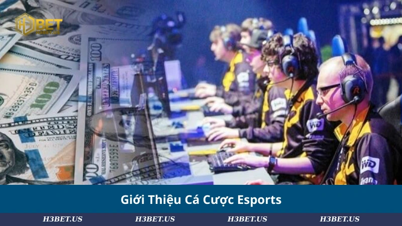 Giới Thiệu Cá Cược Esports