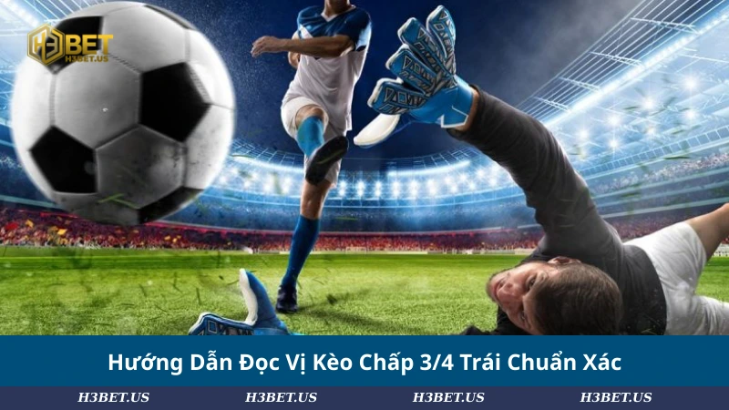 Hướng Dẫn Đọc Vị Kèo Chấp 3/4 Trái Chuẩn Xác