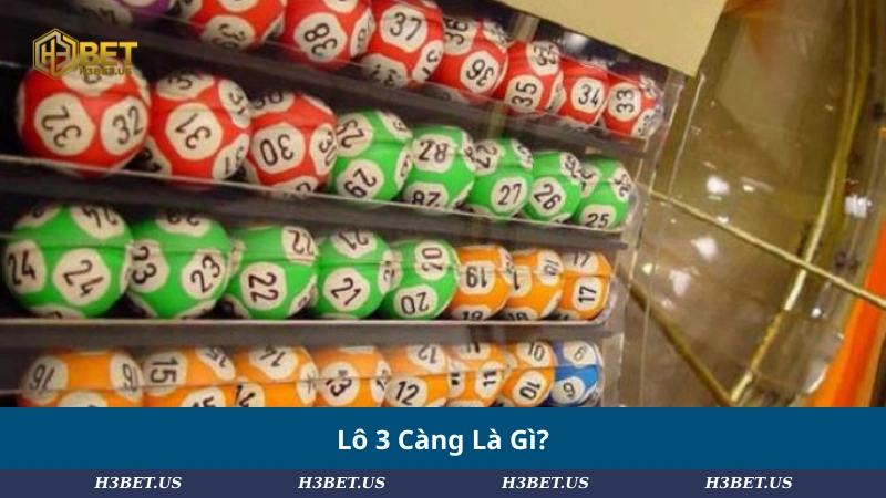 Lô 3 Càng Là Gì?