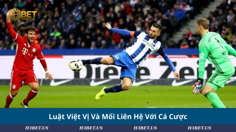 Luật Việt Vị Và Mối Liên Hệ Với Cá Cược