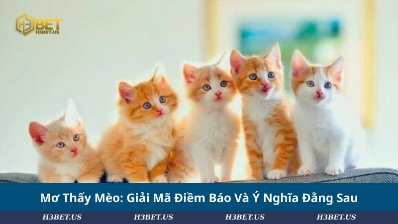 Mơ Thấy Mèo: Giải Mã Điềm Báo Và Ý Nghĩa Đằng Sau