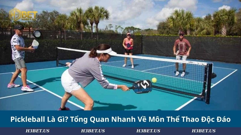 Pickleball Là Gì? Tổng Quan Nhanh Về Môn Thể Thao Độc Đáo