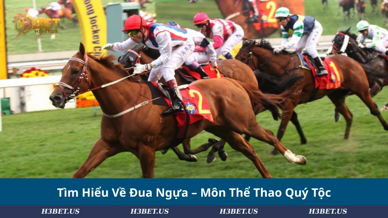 Tìm Hiểu Về Đua Ngựa – Môn Thể Thao Quý Tộc